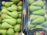 Best pears from Poland wholesale - фото 1