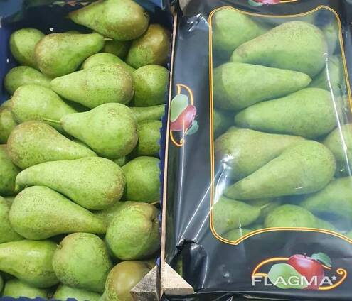 Best pears from Poland wholesale