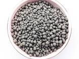 Best Price Diammonium Phosphate Dap Fertilizer, DAP 18 46 0 - фото 2