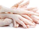 Chicken Paws Frozen GACC - photo 1
