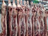 Export of meat - photo 1