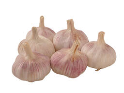 Fresh White and Red Garlic Available