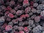 Frutas vermelhas e frutas congeladas; misturas de frutas vermelhas e frutas, bem como mist - фото 9