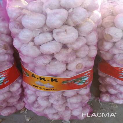 2026 New Crop Brand Fresh Garlic Red Normal Purple Pure White Garlic Price for Wholesale