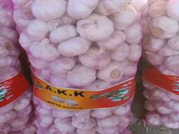 2026 New Crop Brand Fresh Garlic Red Normal Purple Pure White Garlic Price for Wholesale