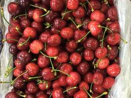 Sweet and juicy Peach, Nectarine and Cherry time.