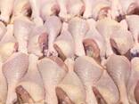 Frozen Chicken Feet &amp; Sausages Whole Chicken-IQF Processed - фото 1