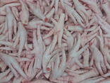 Wholesale Brazilian Frozen Chicken Feet/Chicken Paws/ Chicken Leg Quarter Export - фото 1