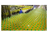 Wholesale Natural Sunflower Oil Refined Plants Oil - photo 1